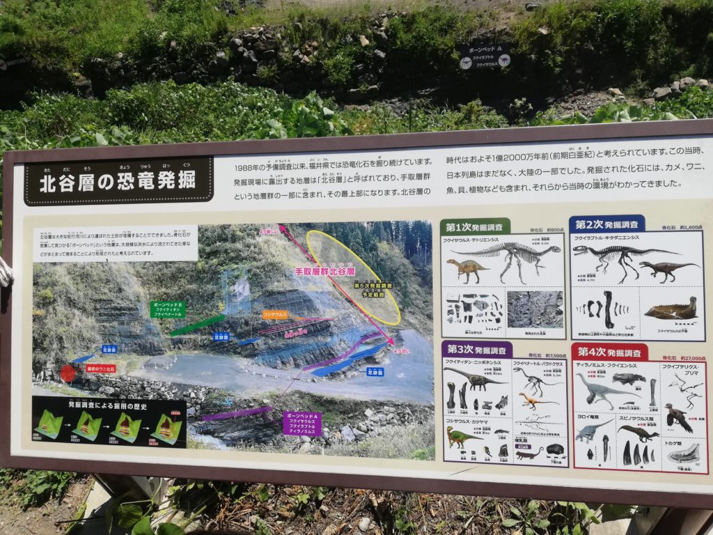 北谷層の恐竜発掘
