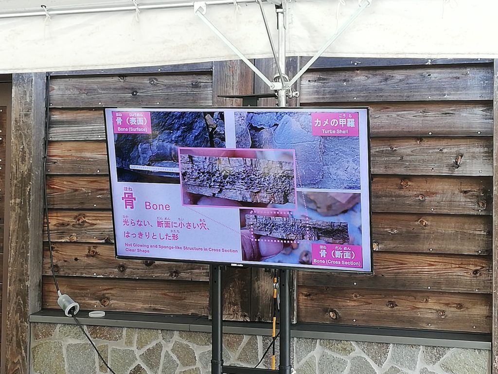 化石発掘体験 説明ビデオ