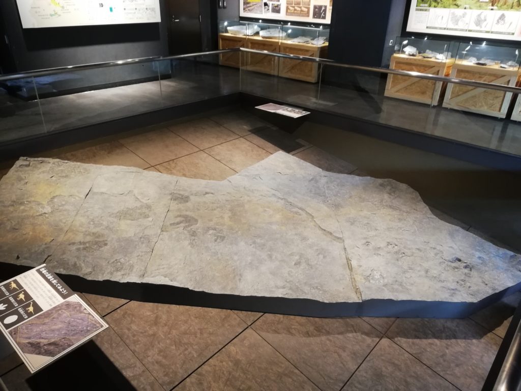 野外恐竜博物館　恐竜の足跡を探してみよう