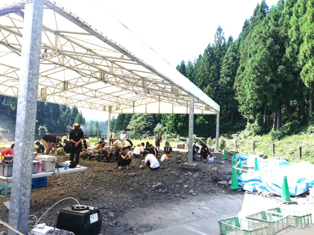 化石発掘広場
