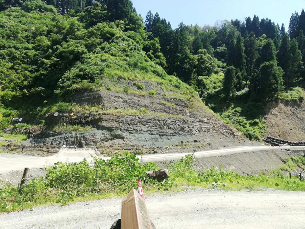 手取層群北谷層