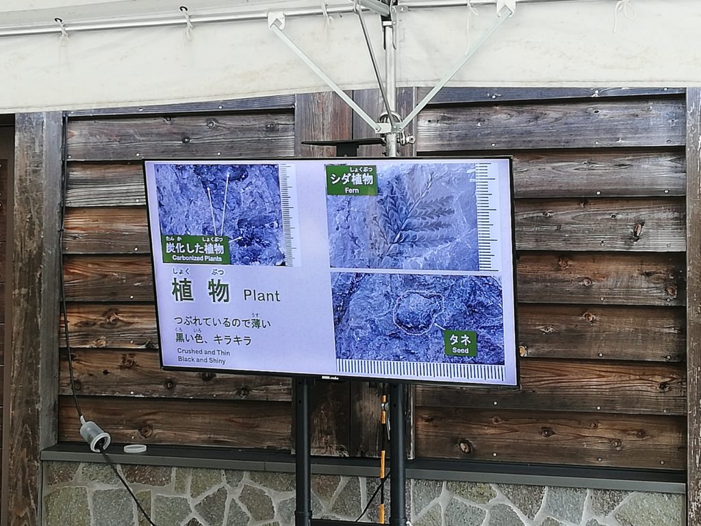 化石発掘体験 説明ビデオ