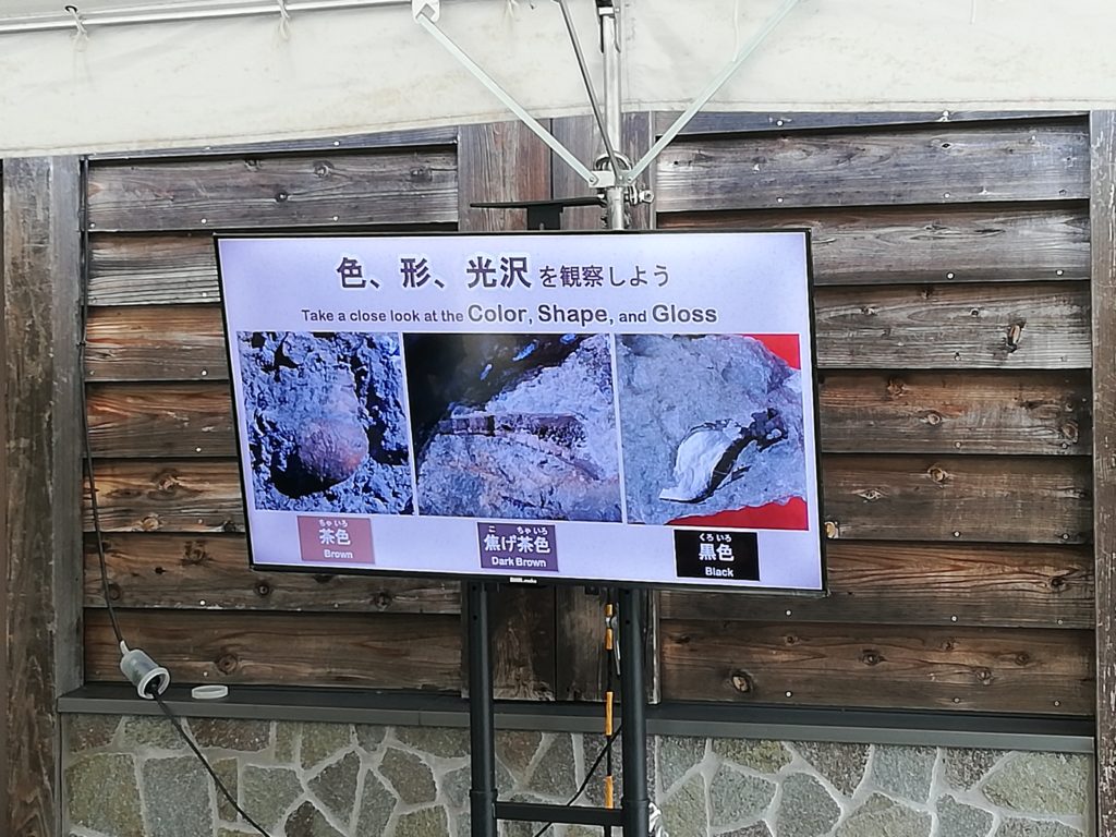 化石発掘体験　説明ビデオ