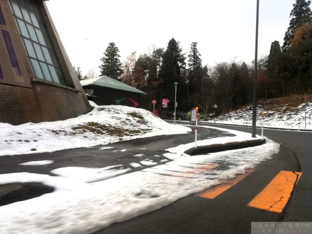 福井県立恐竜博物館　冬　雪　道路状況