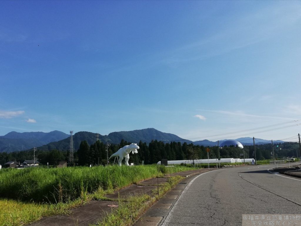 ホワイトザウルスと恐竜博物館