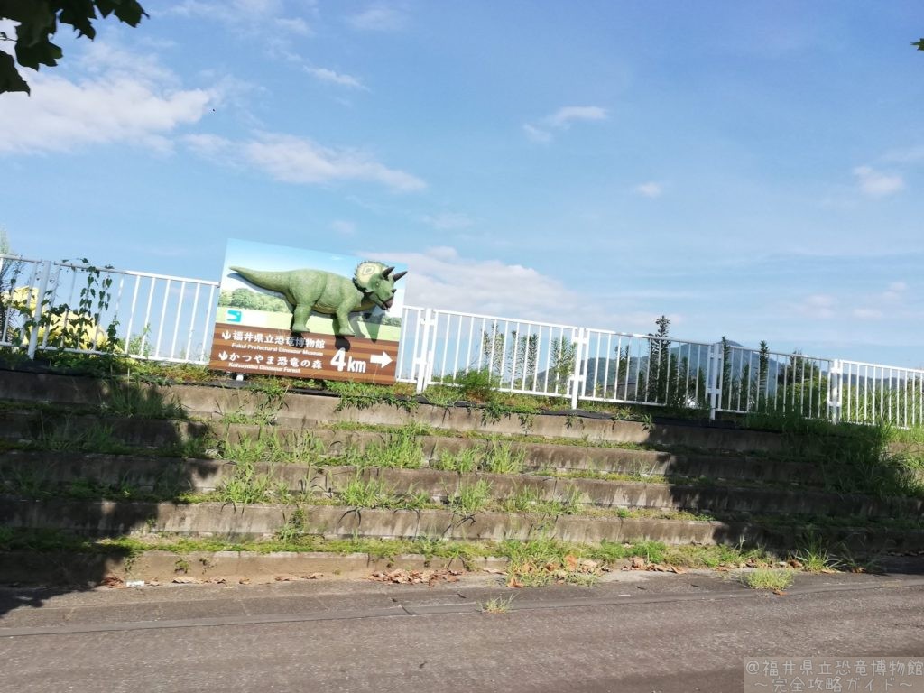 県道260号(荒土公園)