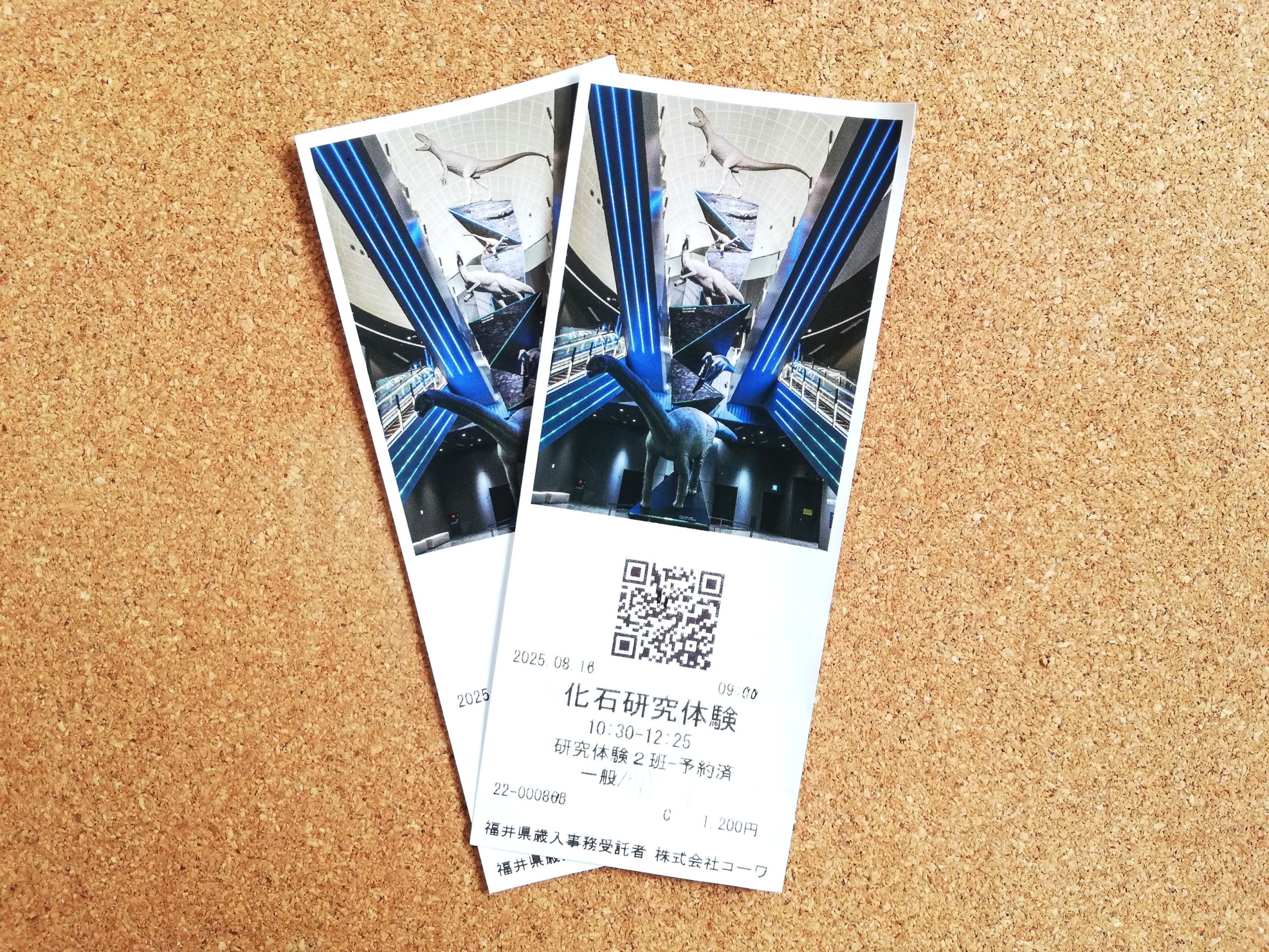 福井県立恐竜博物館　チケット　当日券