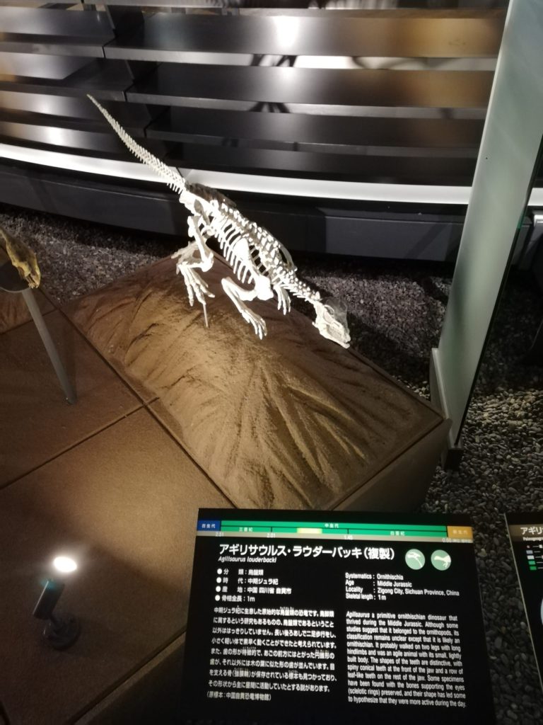 アギリサウルス