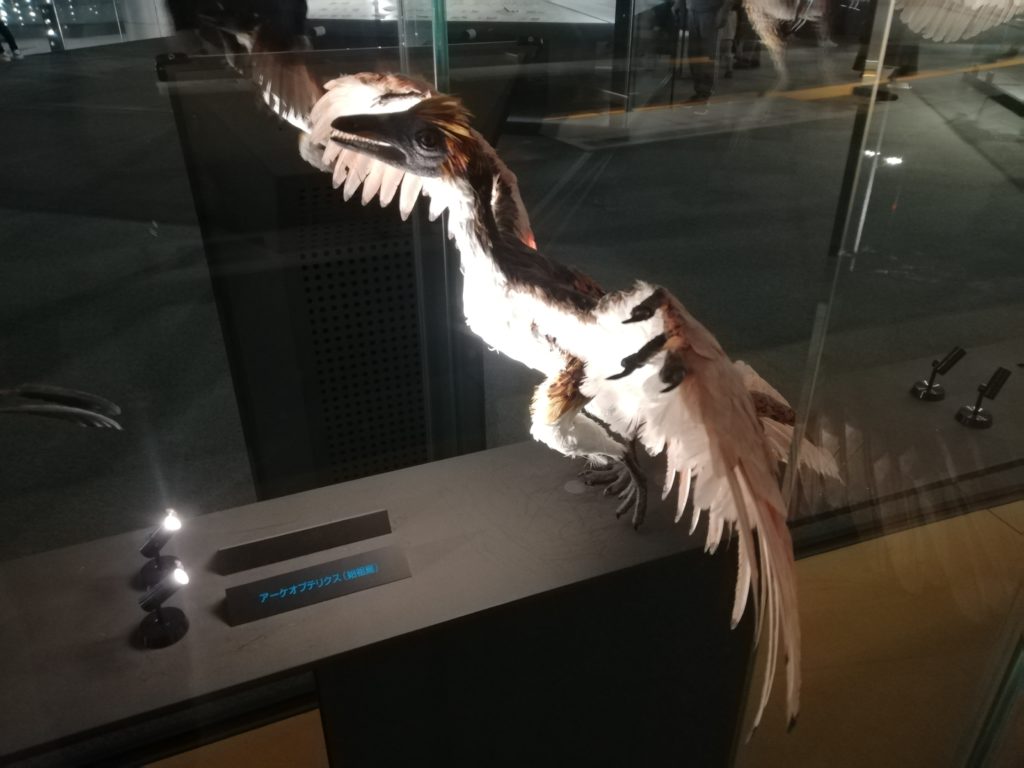 アーケオプテリクス復元模型