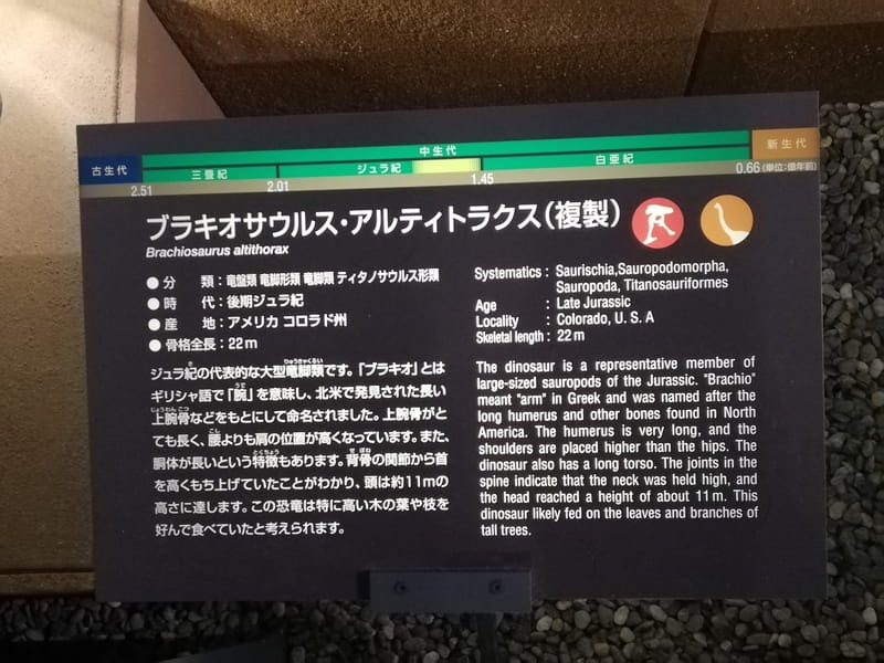 ブラキオサウルス　説明板