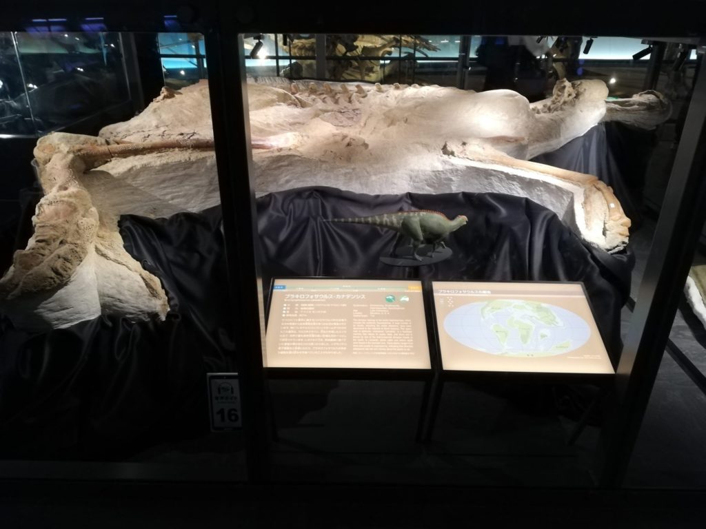 ブラキロフォサウルス