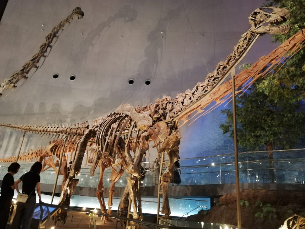 カマラサウルスの一種