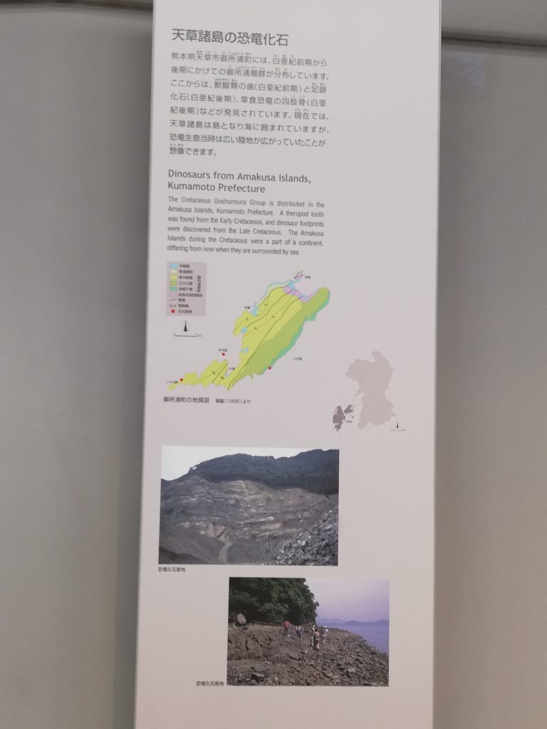 天草市の恐竜化石