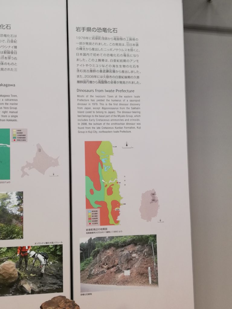 岩手県の恐竜化石