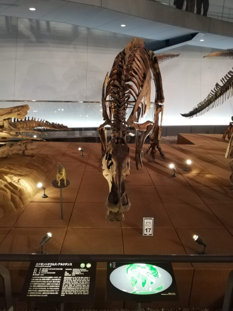 エドモントサウルス