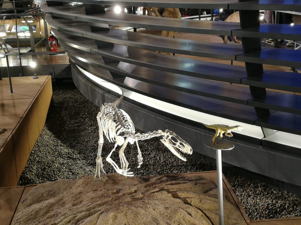 エオドロマエウス