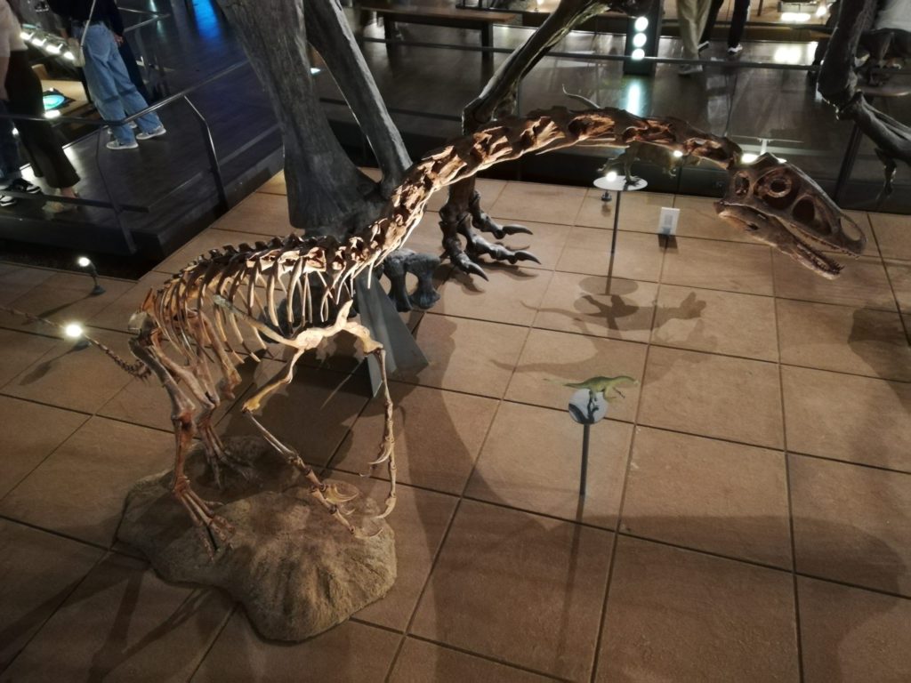 ファルカリウス