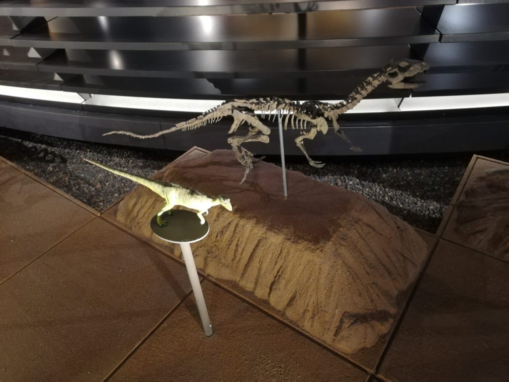 ヒプシロフォドン