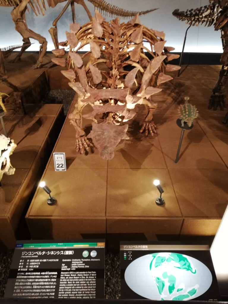 ジンユンペルタ