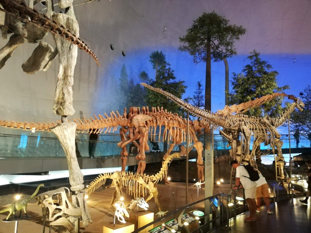 マメンチサウルス