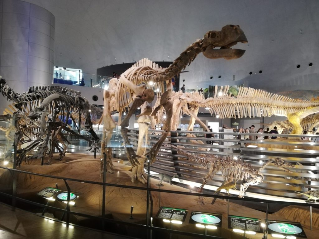 ムッタブラサウルス