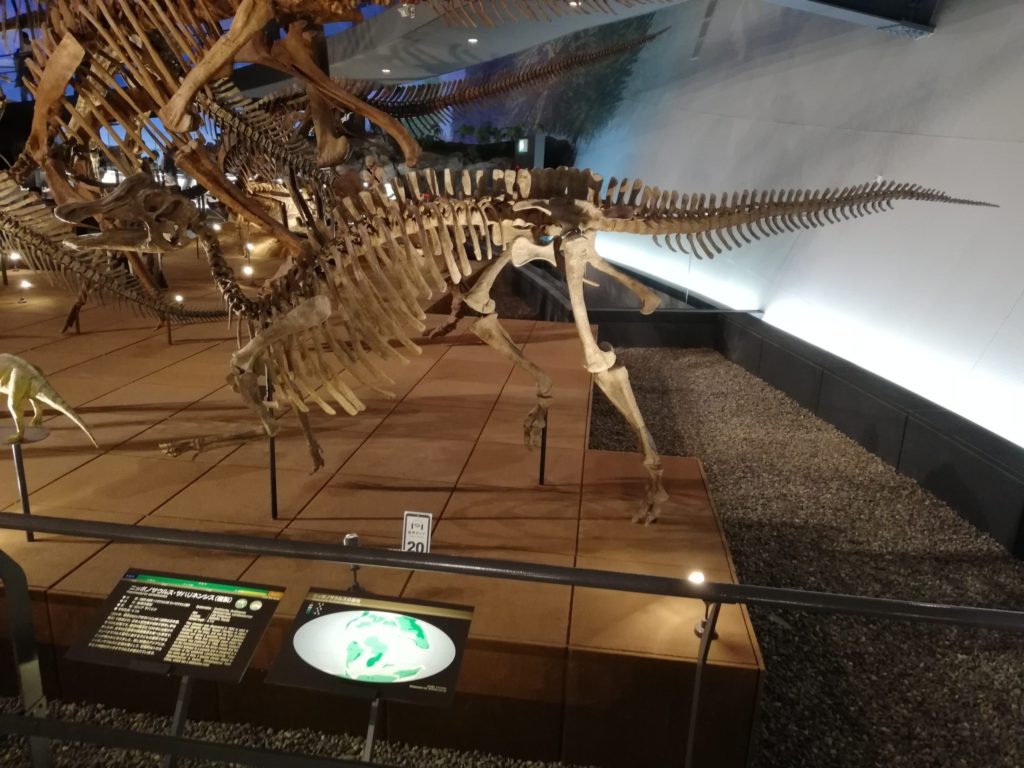 ニッポノサウルス