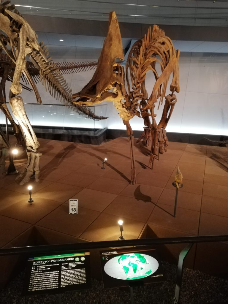 オロロティタン