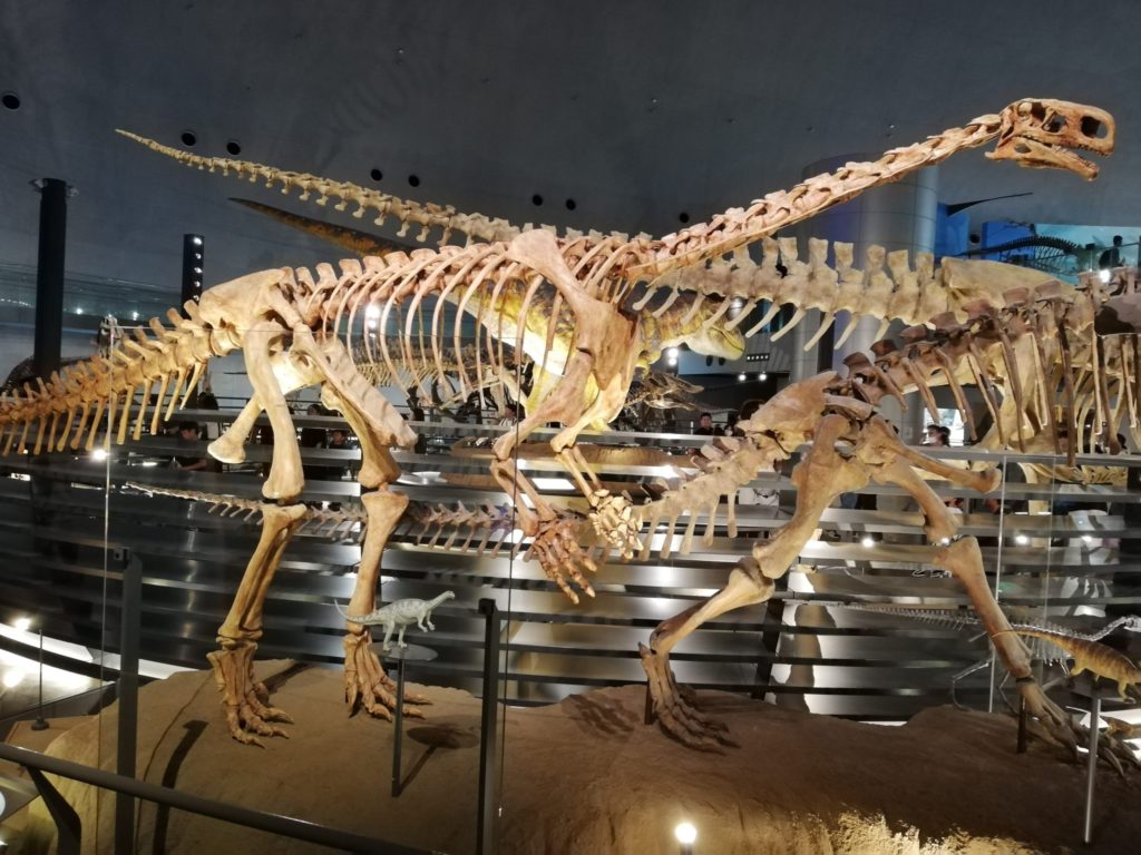 ブラテオサウルス