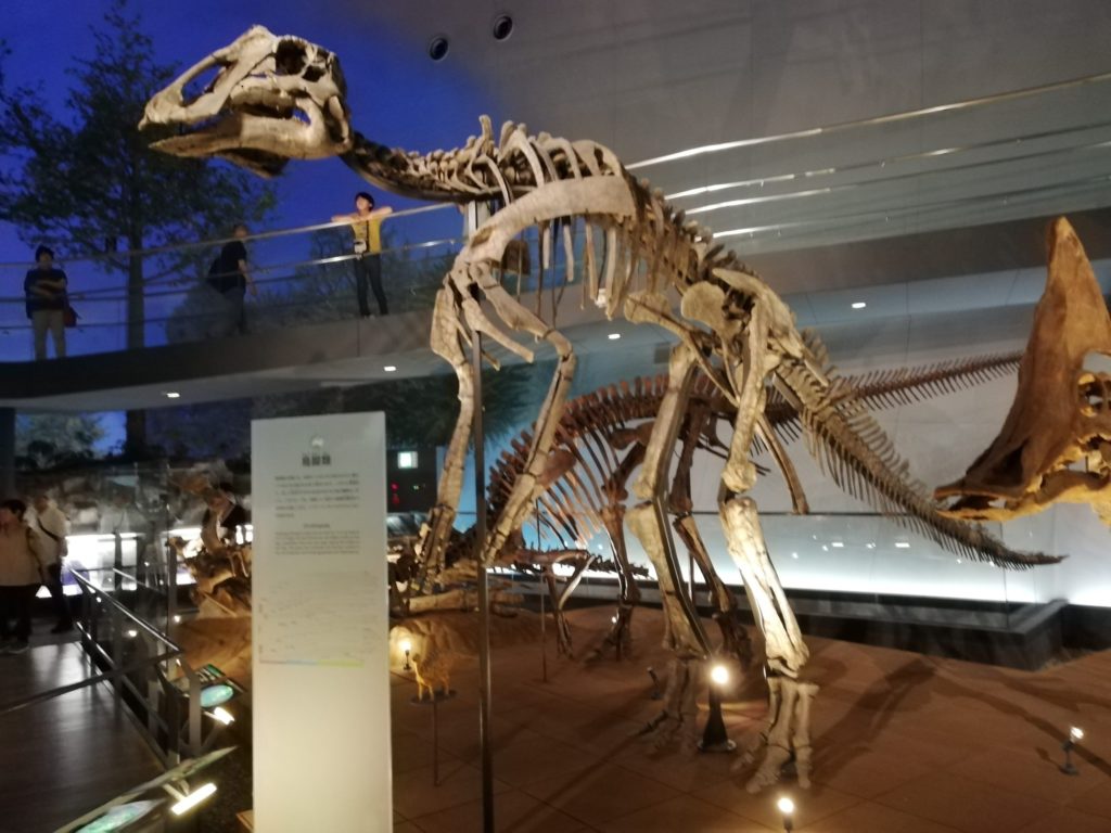 プロサウロロフス