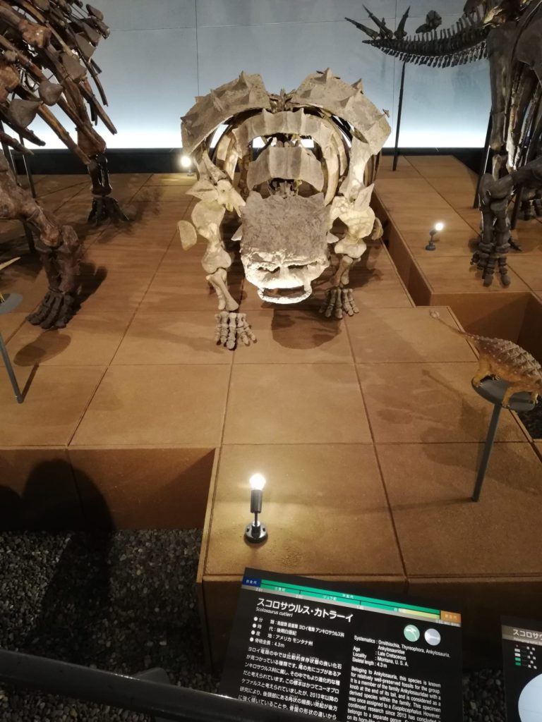 スコロサウルス