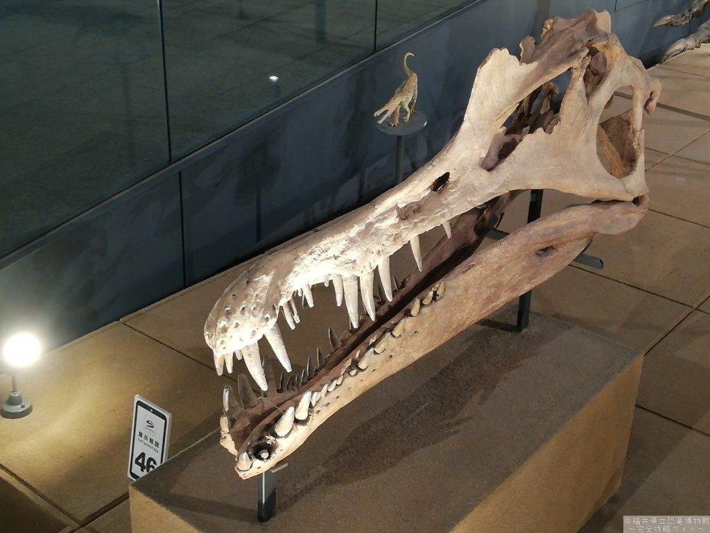 スピノサウルス