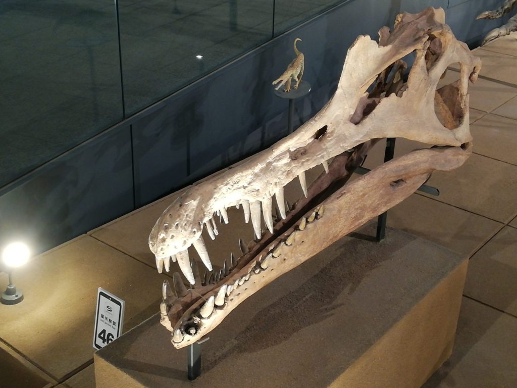 スピノサウルス