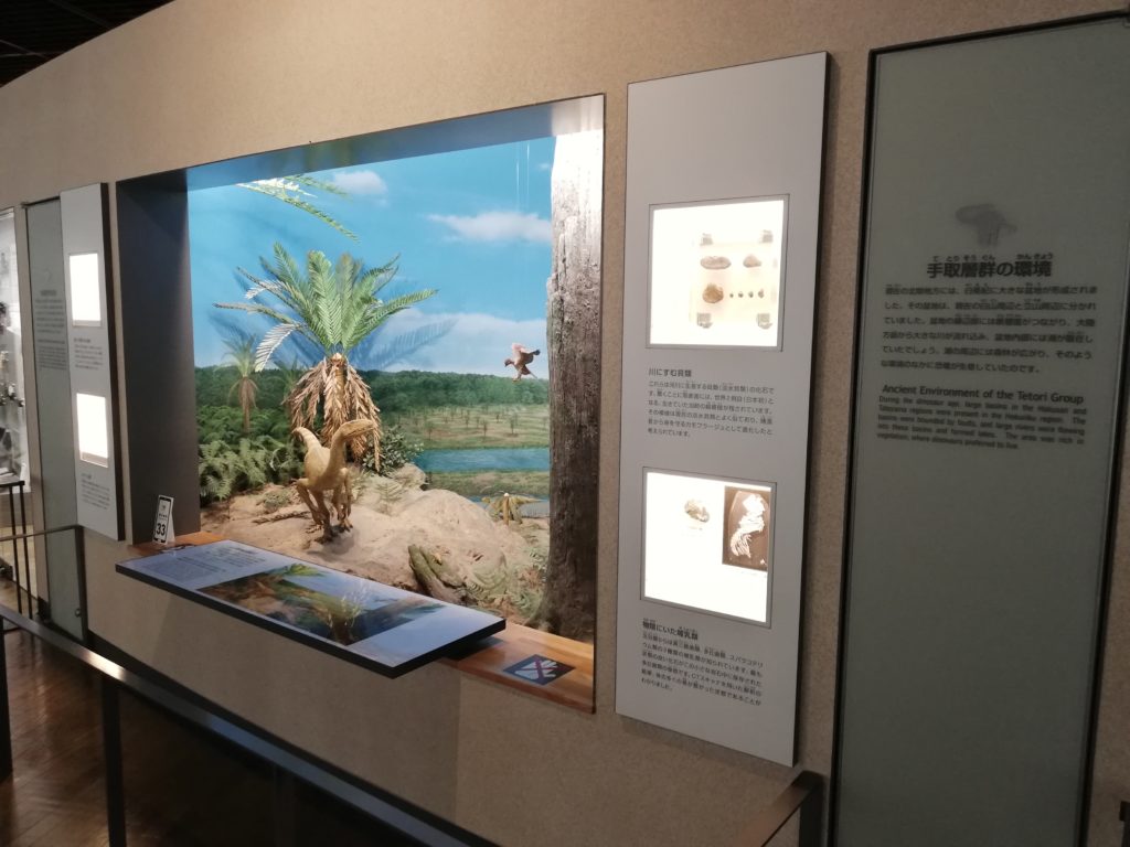 手取層群の環境