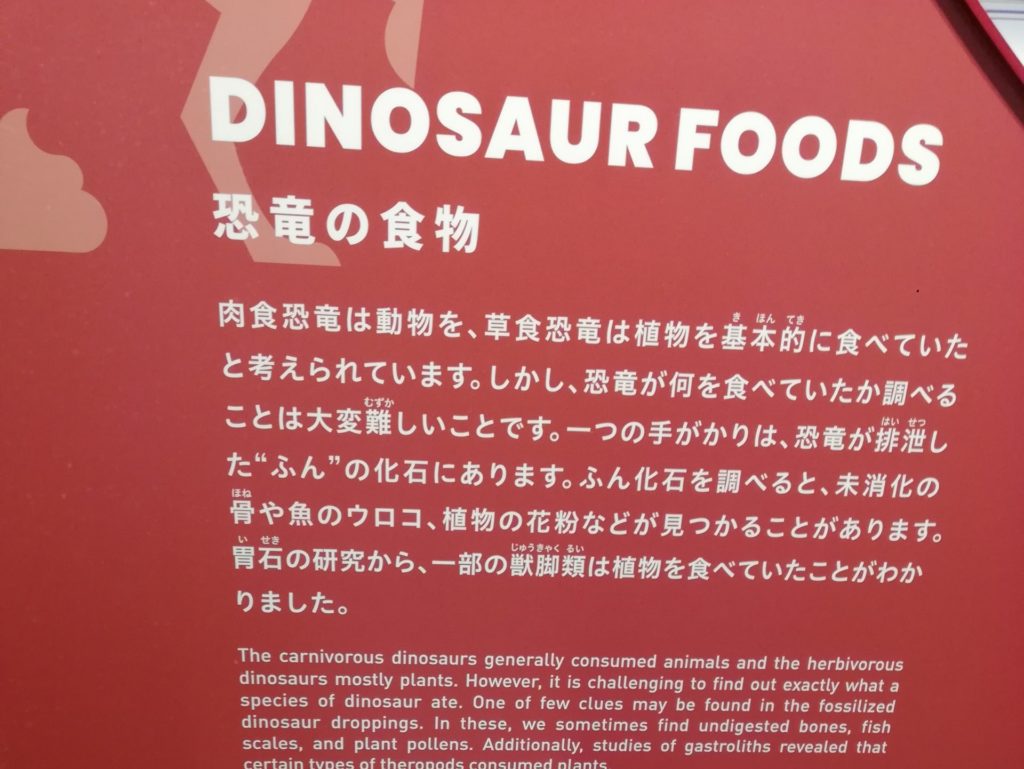恐竜の食物