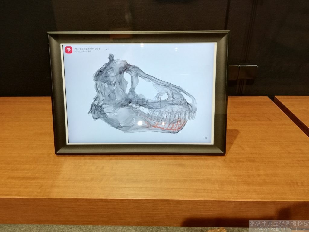 ティラノサウルス神経データ