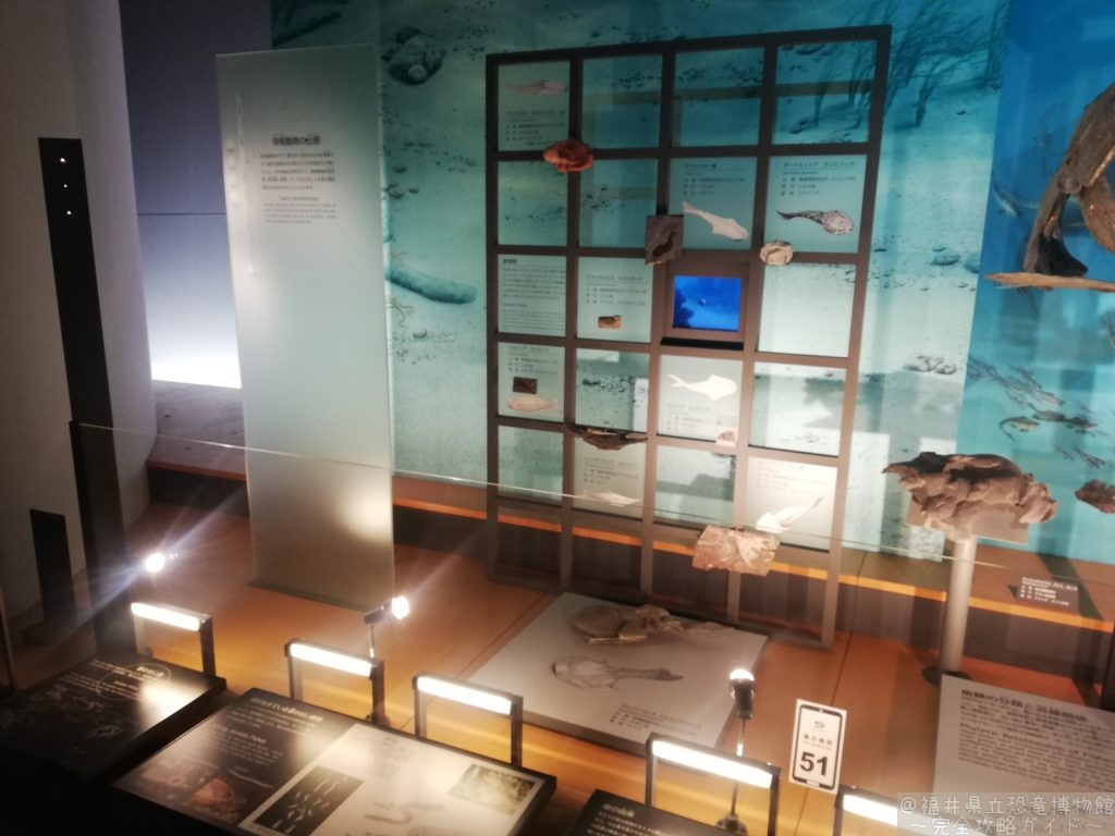 脊椎動物の出現