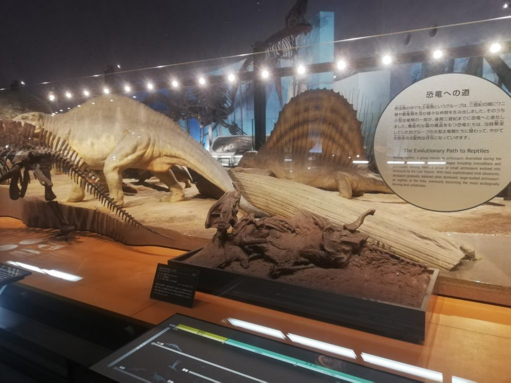 恐竜への道－主竜類への進化