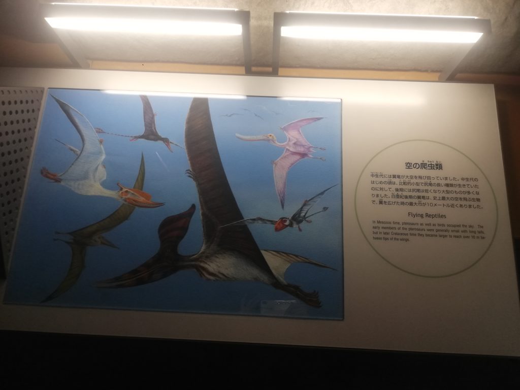 空を飛ぶ爬虫類