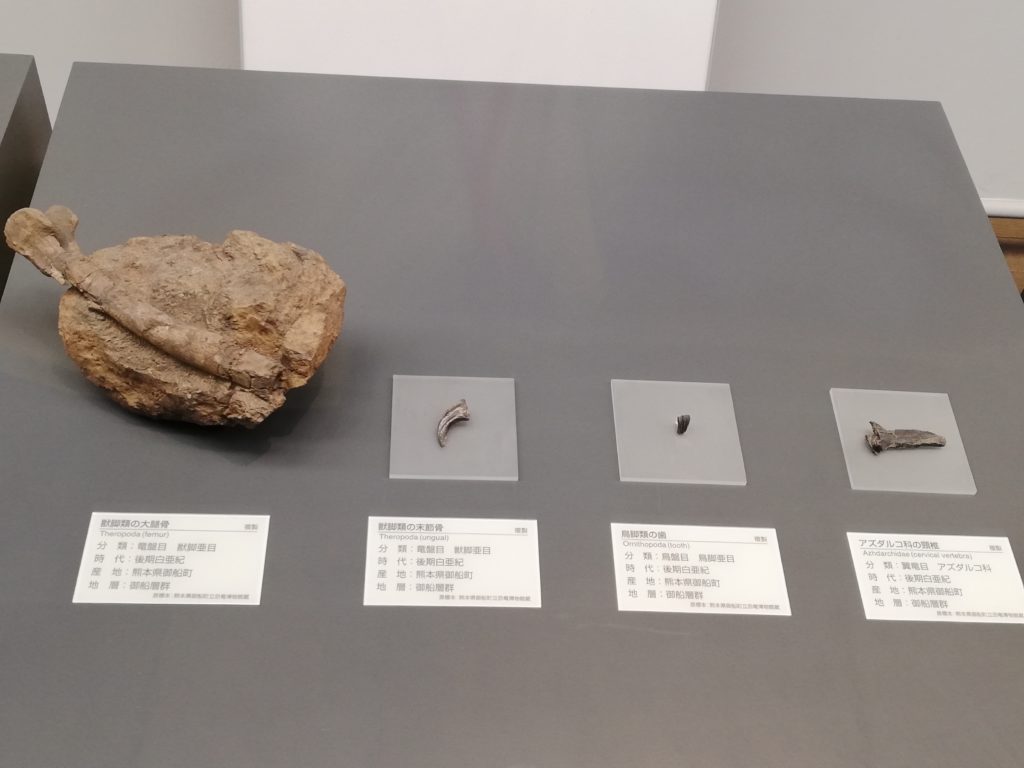 御舟町　獣脚類の大腿骨/獣脚類の末節骨/鳥脚類の歯/アズダルコ科翼竜の頸椎