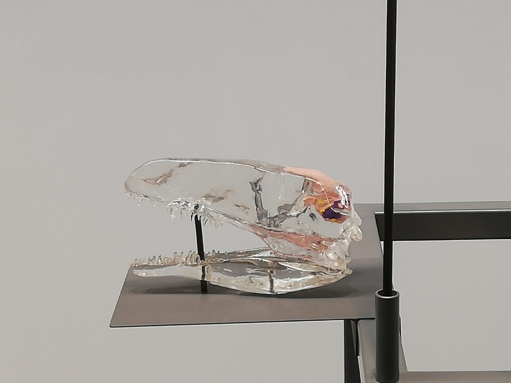 フクイベナートルダイキャスト