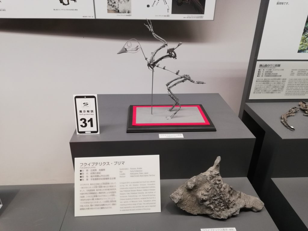 フクイプテリクス 