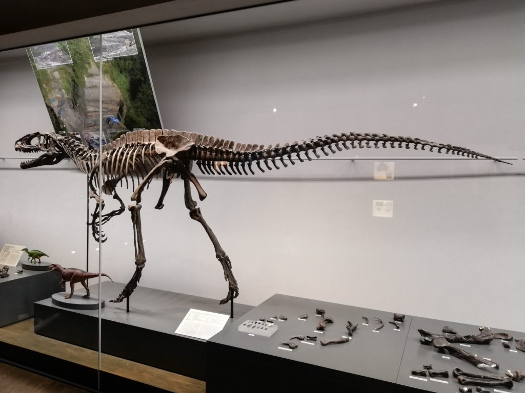 フクイラプトル