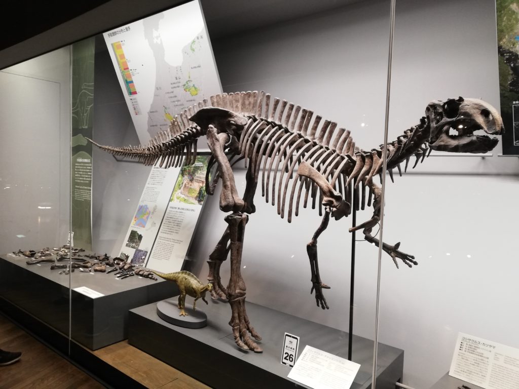 フクイサウルス