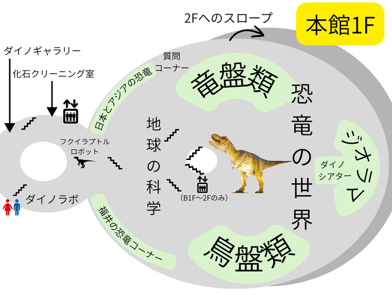 福井県立恐竜博物館　フロアマップ　本館1F