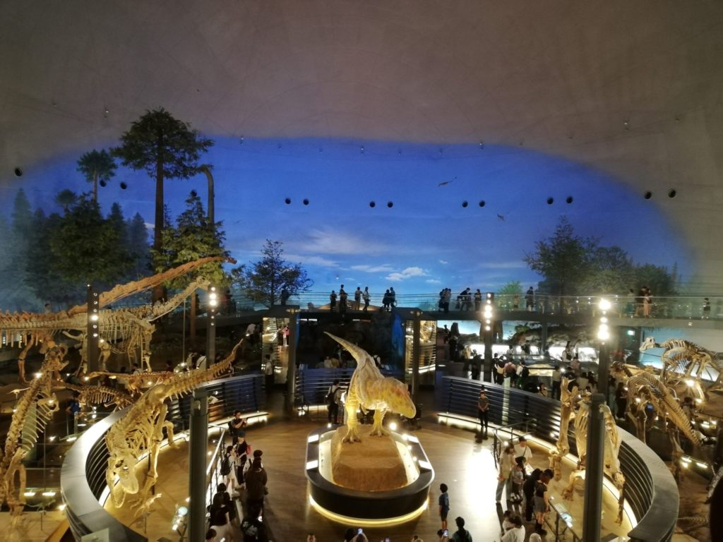福井県立恐竜博物館　常設展示室（全体）