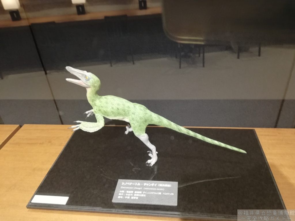 シノベナートル