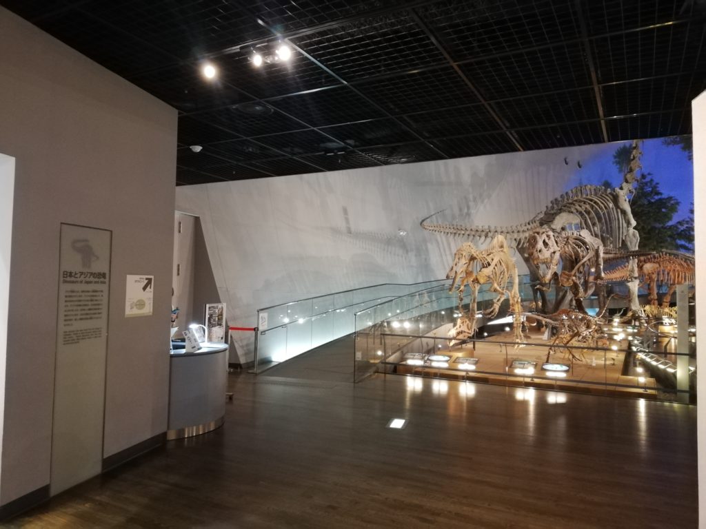 福井県立恐竜博物館　スロープ