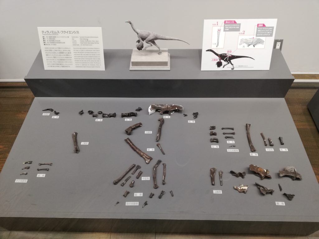 ティラノミムス