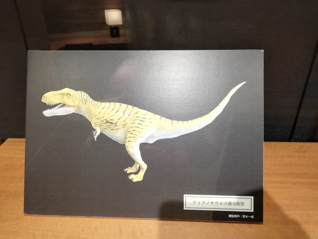 ティラノサウルスの復元模型