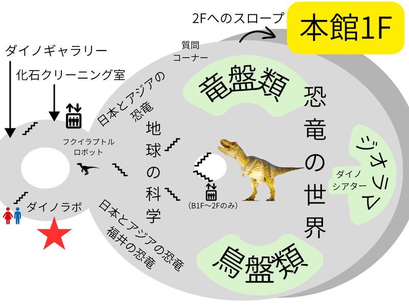 フロアマップ　ダイノラボ